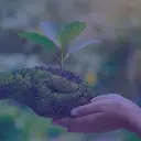 ISO 14001 - Sistema de gestión ambiental